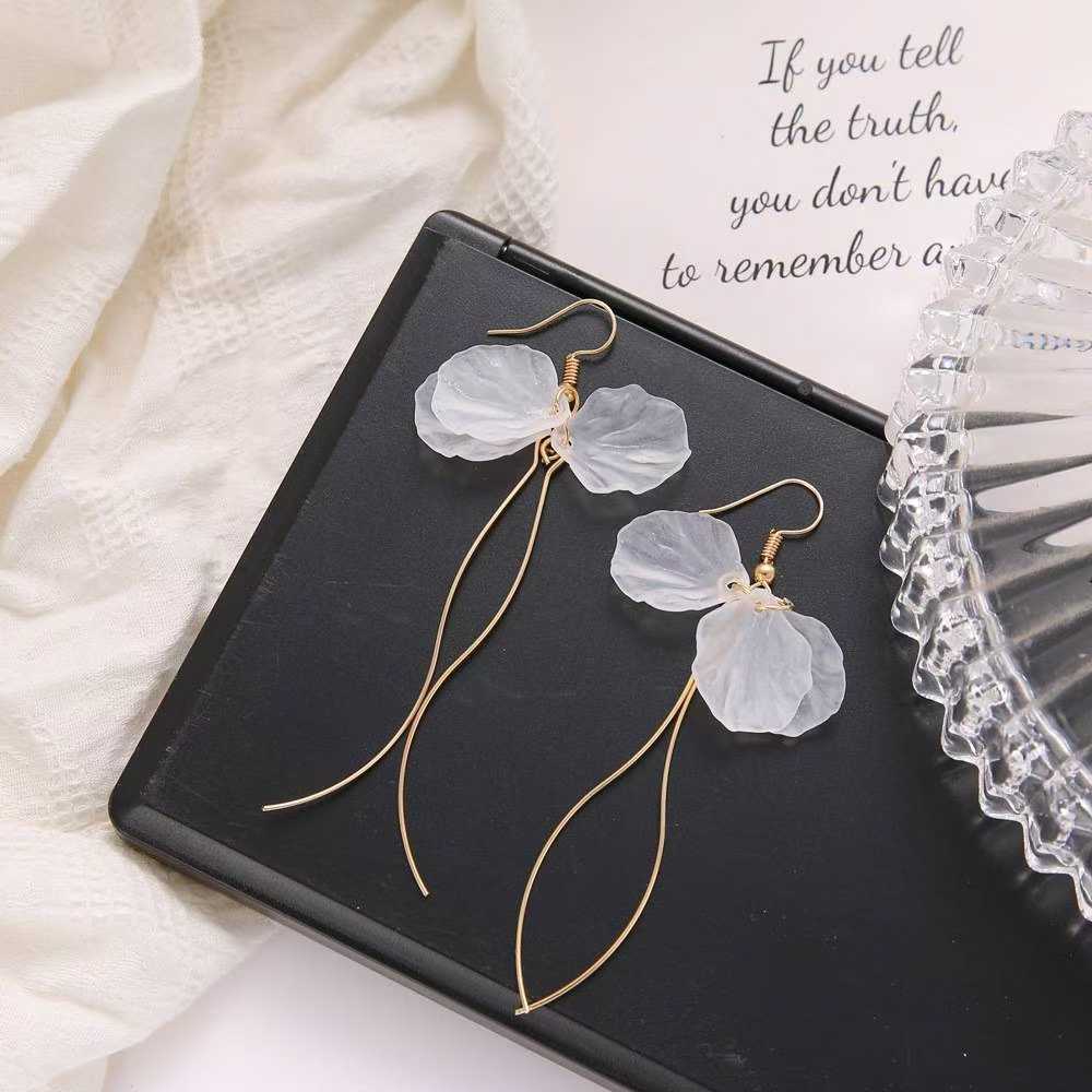 Earrings HZS596-1